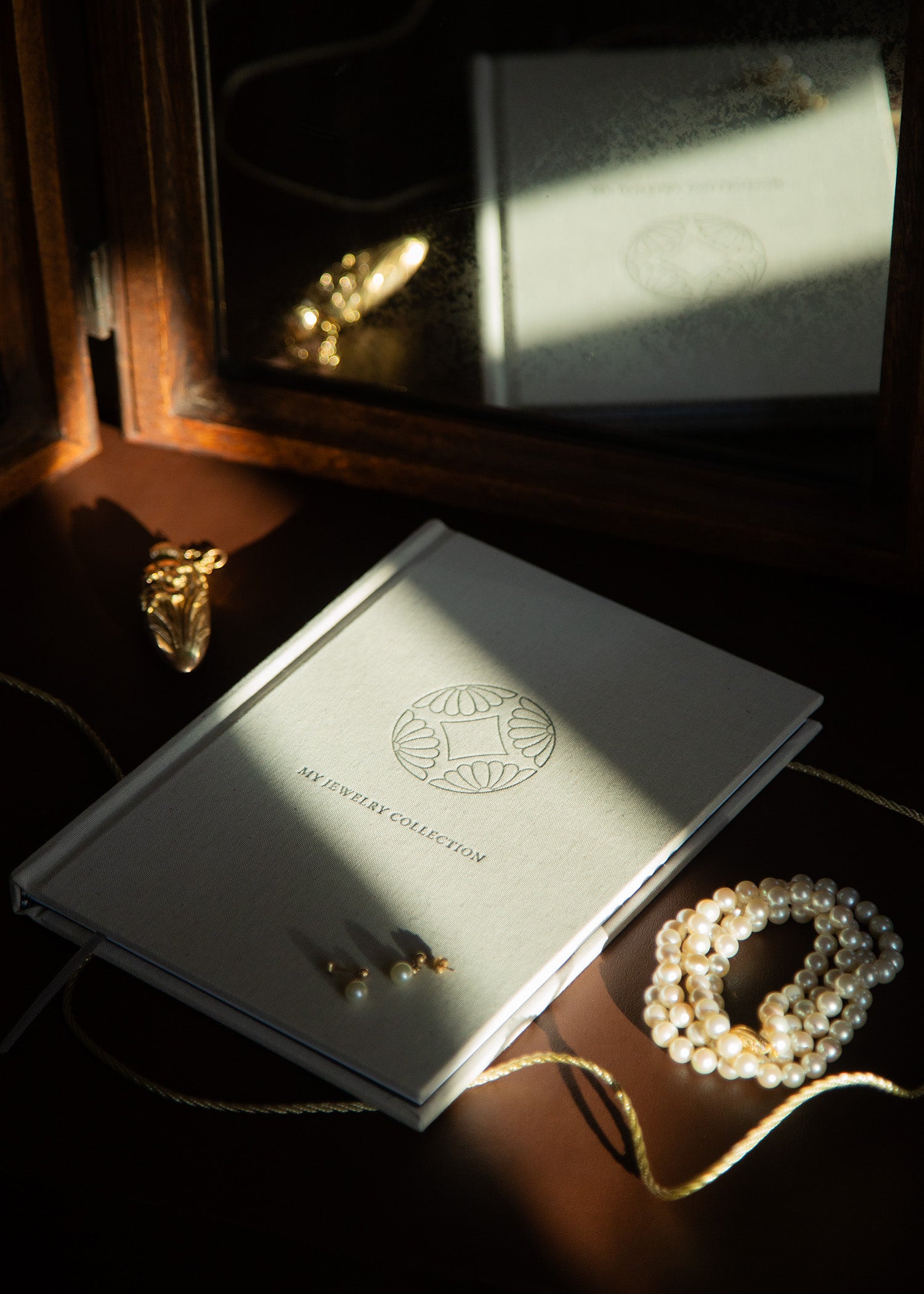 The Jewelry Diary (limited edition)